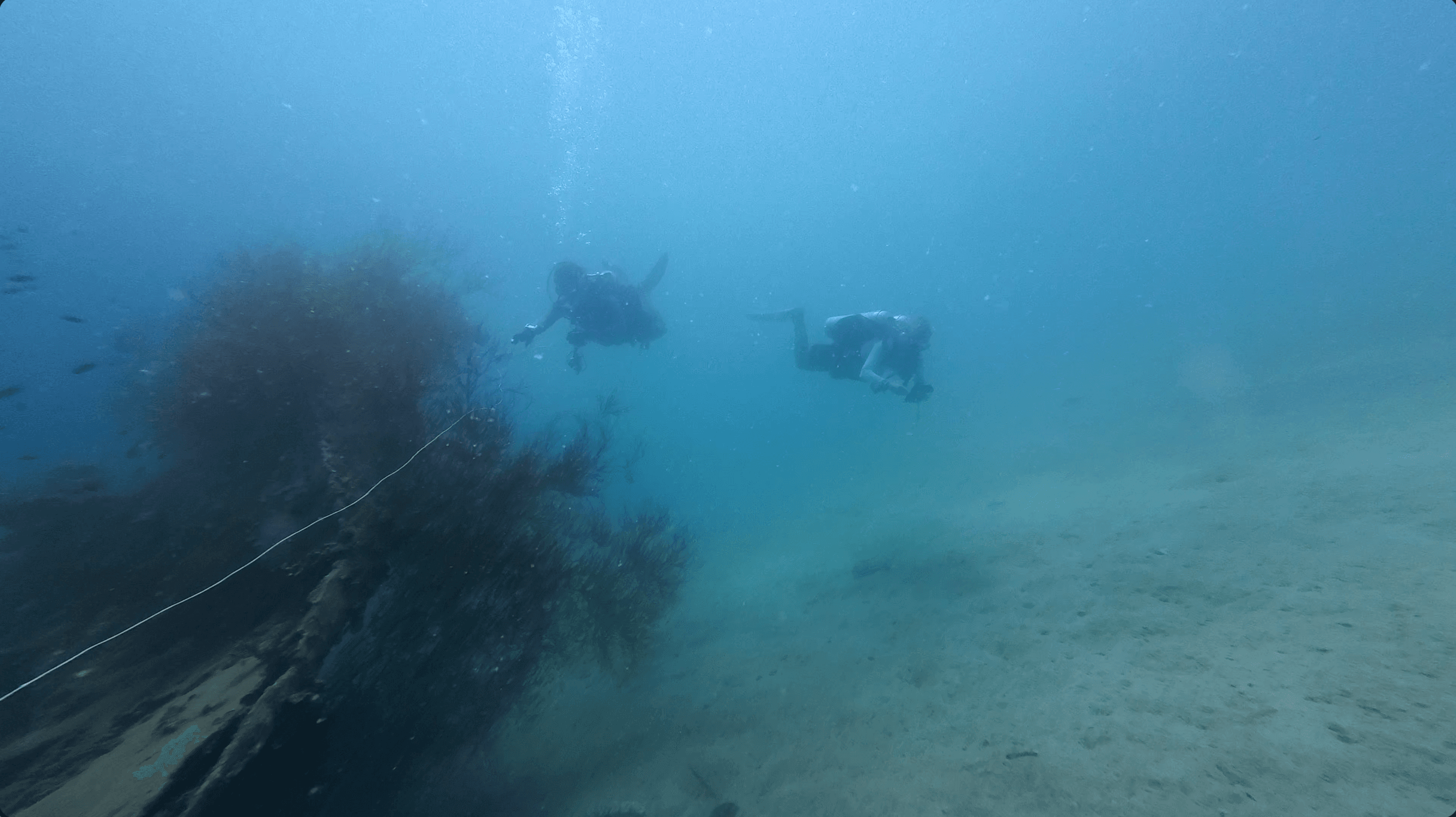 Uncovering the Hidden Reefs Marine Park, Tioman Island