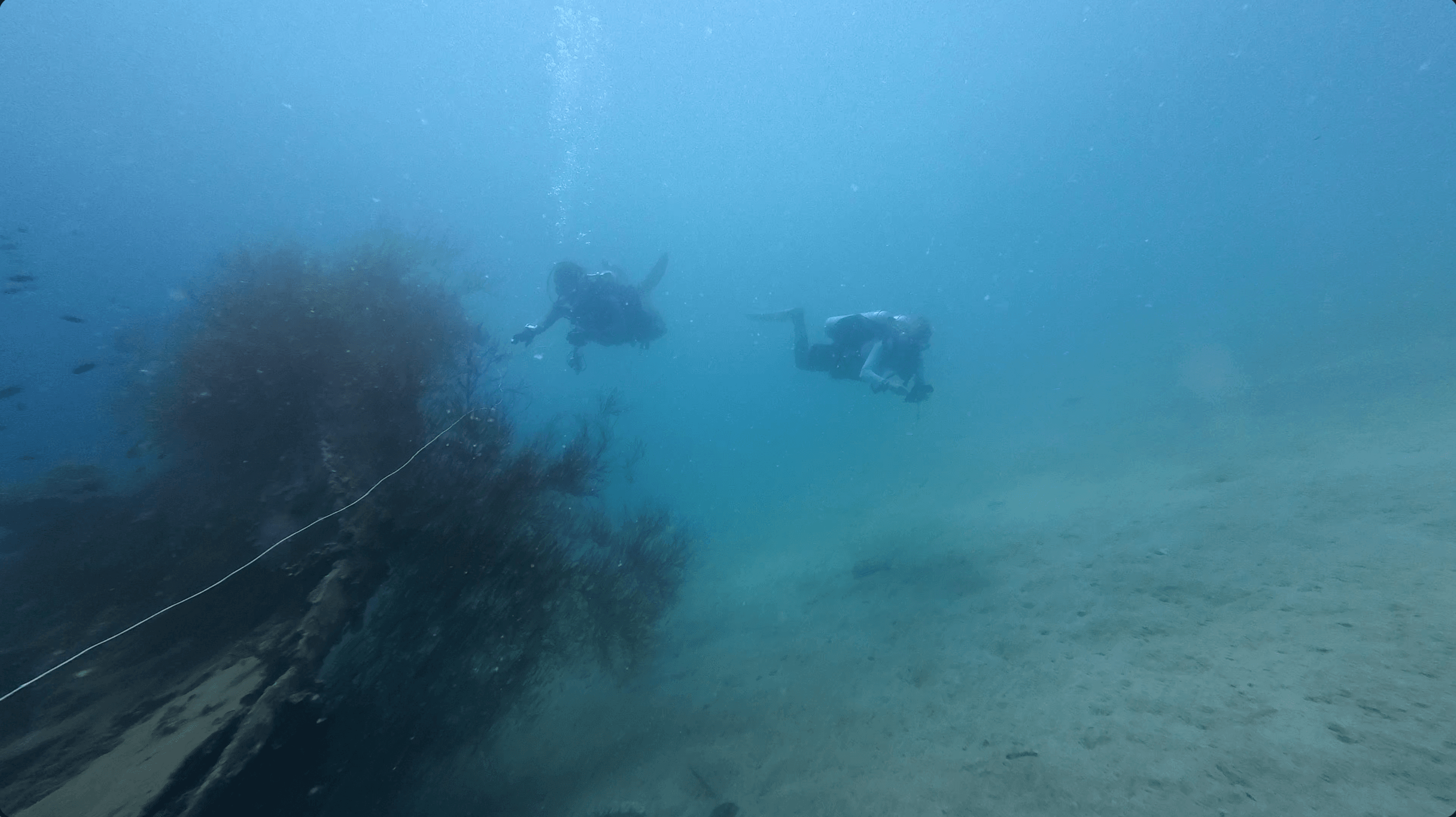 Uncovering the Hidden Reefs Marine Park, Tioman Island