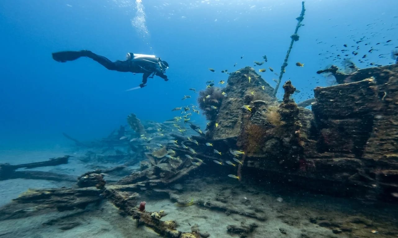 Youssef and Jon documenting coral reef house