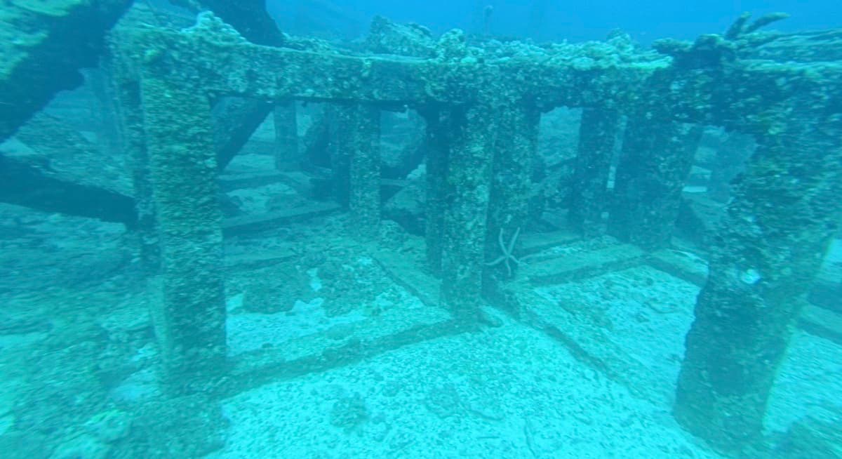 Phuket Bloc - artificial reef modules